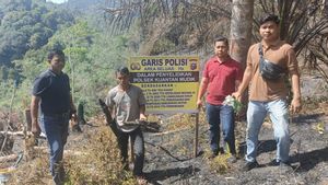 Tiga Orang Diringkus karena Bakar Hutan Lindung di Riau, Terancam Hukuman Berat