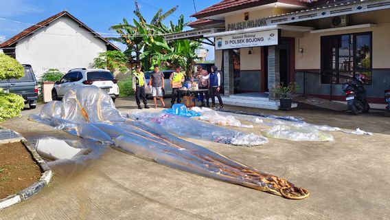 Police Secure 7 Air Balloons with Explosives