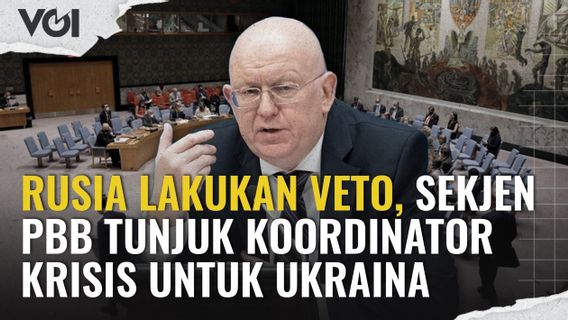 VIDEO: Russia Performs Veto, UN Secretary General Appoints Crisis Coordinator For Ukraine