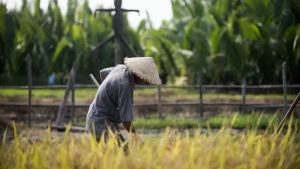 Kejari Telusuri Dugaan Penyelewengan Dana KUR untuk Petani di Moyo Hulu Sumbawa 