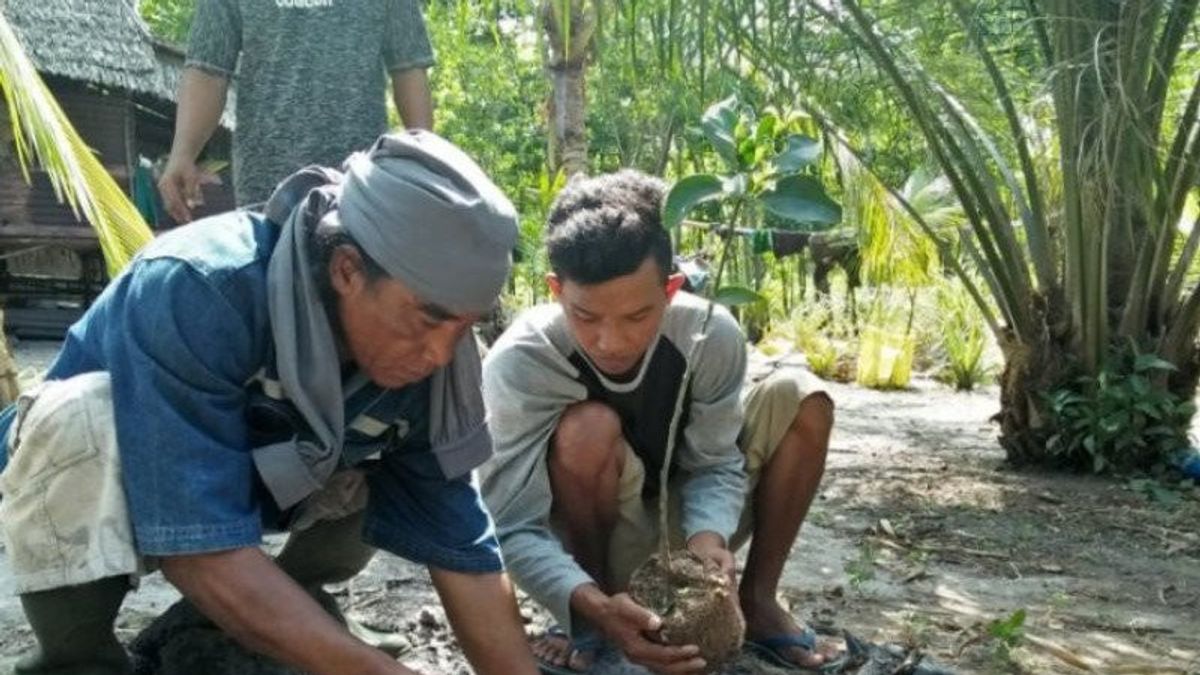 Bangka Belitung Targetkan Penanaman Mangrove Seluas 2.240 Hektar, UPTD KPHP Kembali Diaktifkan