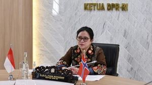 Mengaku Tak Pernah Bisikin Megawati, Puan Maharani: Kalau Beliau Putuskan, Saya Ikut!
