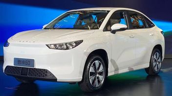 This Chinese Electric Car Has The Longest Use Period At The Cheapest Price