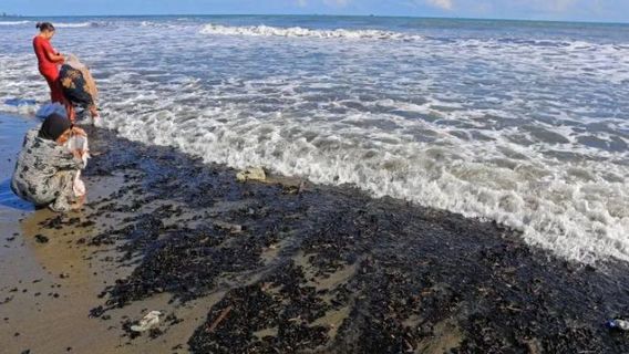 DPRA Minta Pemprov Aceh Bentuk Tim Telusuri Tumpahan Batu Bara di Pantai Meureubo