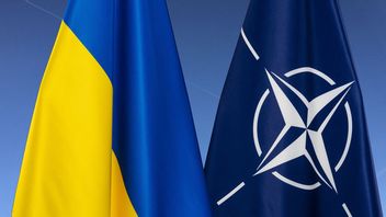 أوكرانيا تنضم إلى حلف شمال الأطلسي للتعاون في مجال الدفاع السيبراني لتعزيز موقفها ضد روسيا