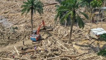21 Lokasi Relokasi Disiapkan Pemerintah untuk Korban Banjir Aceh Sumatera, Ini Daftarnya