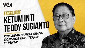VIDEO: Exclusive, Chairman Of INTI Teddy Sugianto Expressed The Reason Why The Chinese Majority Falls Into The Business World