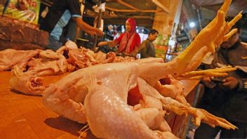 沙特阿拉伯鼓励消费者承担减少肉类浪费的责任