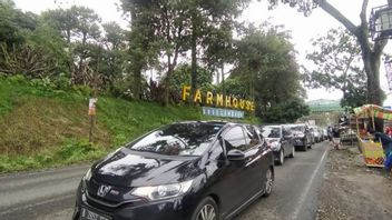Urai Kemacetan di Lembang  Bandung, Polisi Berlakukan <i>One Way</i>