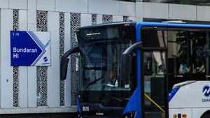 Biar Lebih Fokus Pengawasan, Transjakarta Diminta Tak Ikut Jadi Operator Busnya