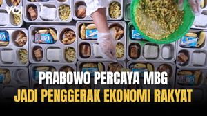 Presiden Prabowo Subianto Yakin, MBG Dapat Menjadi Penggerak Ekonomi Rakyat