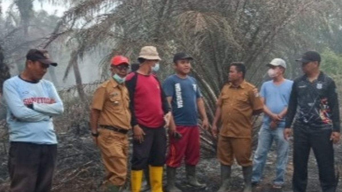 Haze From Peat Fires Still Covers Parts Of Mukomuko