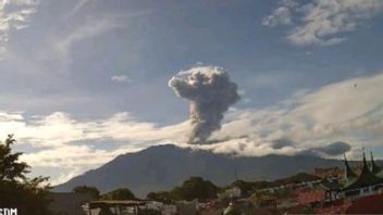 Gunung Marapi Erupsi, Semburkan Abu Vulkanik Setinggi 1,6 Km