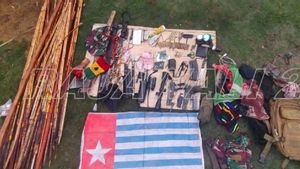 Pangkoops Habema: 8 Anggota KKB Dilumpuhkan Saat Kontak Tembak