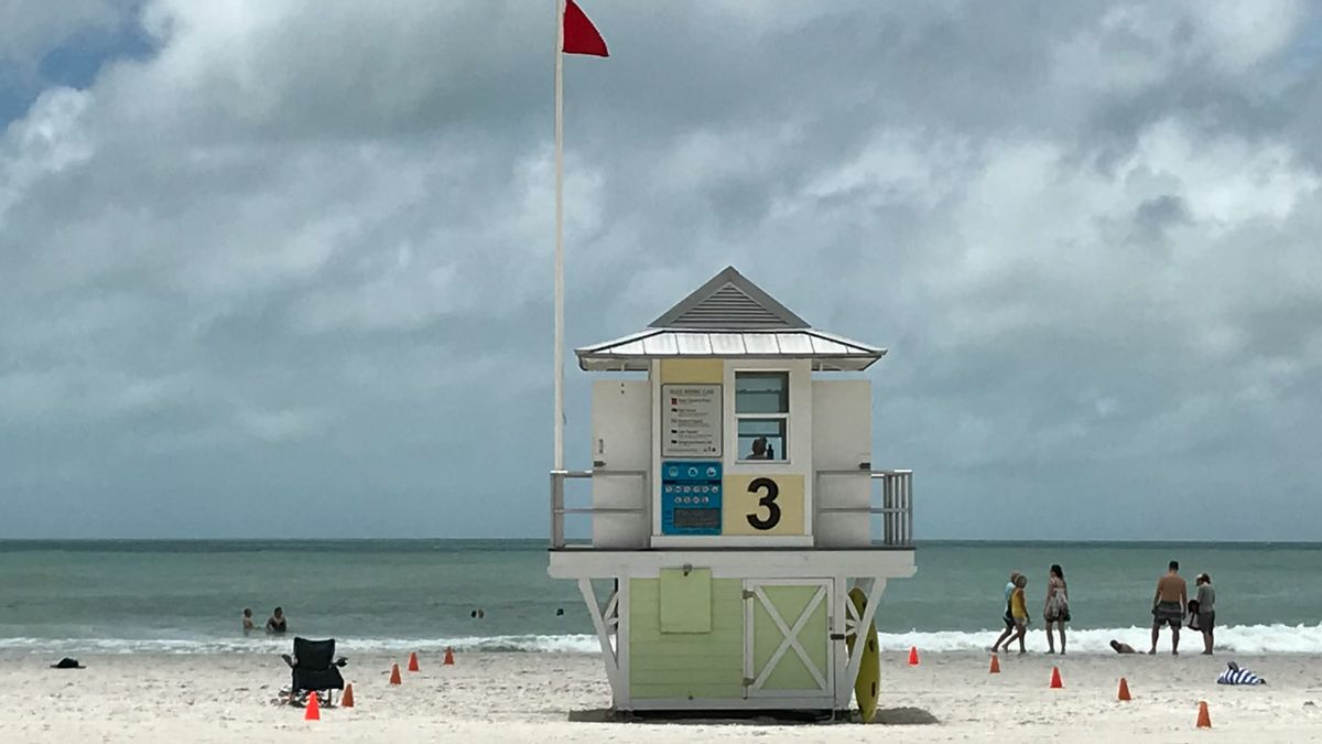 Shark Terror In Florida, Anglers Bitten To Bad Wounded Arm