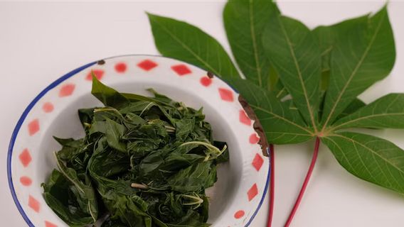 싱콩 잎을 얼마나 푹 삶아야 부드럽고 쓴맛이 없습니까?