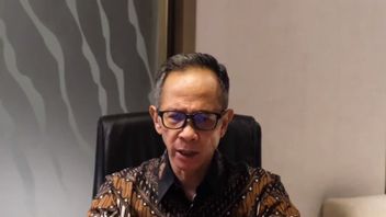OJK Joys Indonesia's Economy Holds Back Amid Global Uncertainty