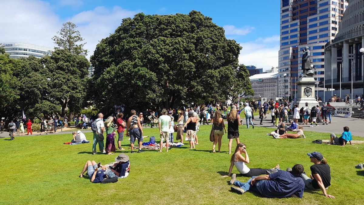 COVID-19限制和疫苗抗议活动进入第三天，新西兰警方拘留数十名抗议者
