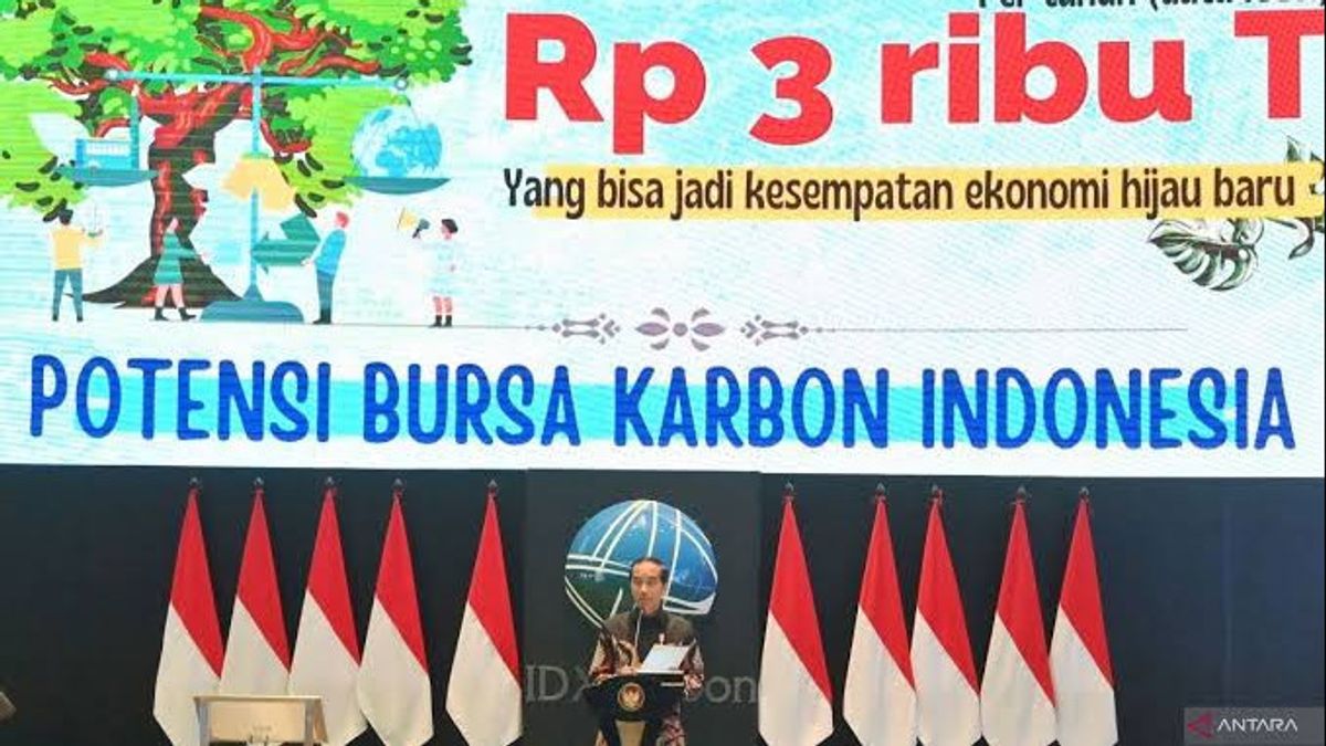 IDX Records Carbon Exchange Transactions Of IDR 19.27 Million In June 2024