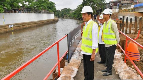 Eks TGUPP Anies Bantah Pernyataan Jokowi Soal Sodetan Ciliwung Mangkrak 6 Tahun