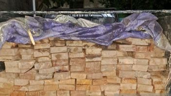 Pohon Ratusan Tahun Ditebang Liar, Kemenhut Bekuk Penjual Kayu Ulin Ilegal