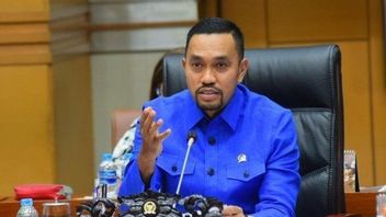 Sahroni's Chances Of Winning In DKI Jakarta Gubernatorial Election Are Small, Observer: NasDem Must Promote Ministerial Level Cagub