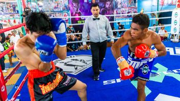 77th Air Force Anniversary Gift: Two Boxers Of Sasana Dirgantara Win TKO In Thailand