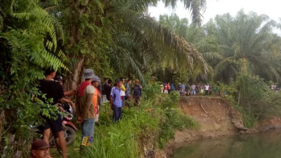 Bengkulu BKSDA Observing The Location Of Prey Crocodiles In Mukomuko Residents, It Is Estimated That There Are 14 Crocodiles Roaming
