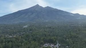 Announcement, This Is The Schedule For Closing The Mount Merbabu Climbing Line For Ecosystem Recovery