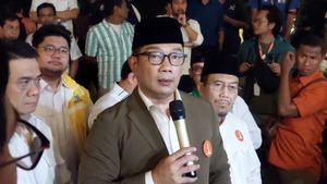 The Largest Campaign Fund, Ridwan Kamil: Big Troops