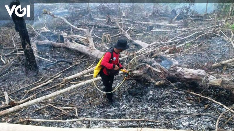 Bmkg Remembers The Potential For Strong Winds To Trigger Forest And 