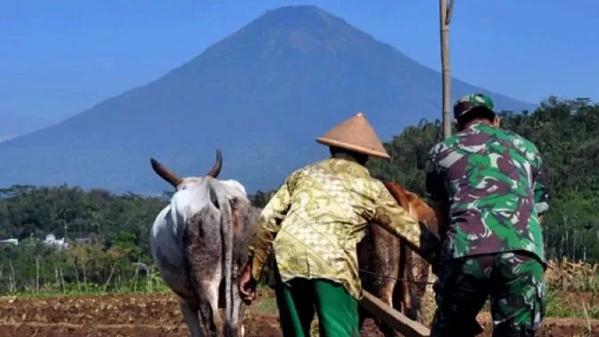 Military Commander Appreciates TNI Soldiers Bringing Seeds From Outside Papua For Sorong Residents