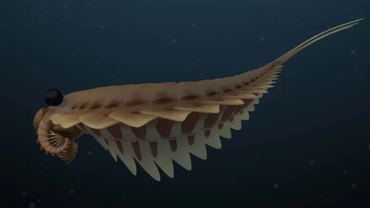 科学家揭示5亿年前在海洋中追踪的三眼捕食者