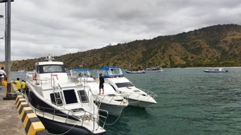 For Fishermen, Ferry Captains And Barge Owners In NTT, On July 21-23 BMKG Says There Is Potential For High Waves In The Sea