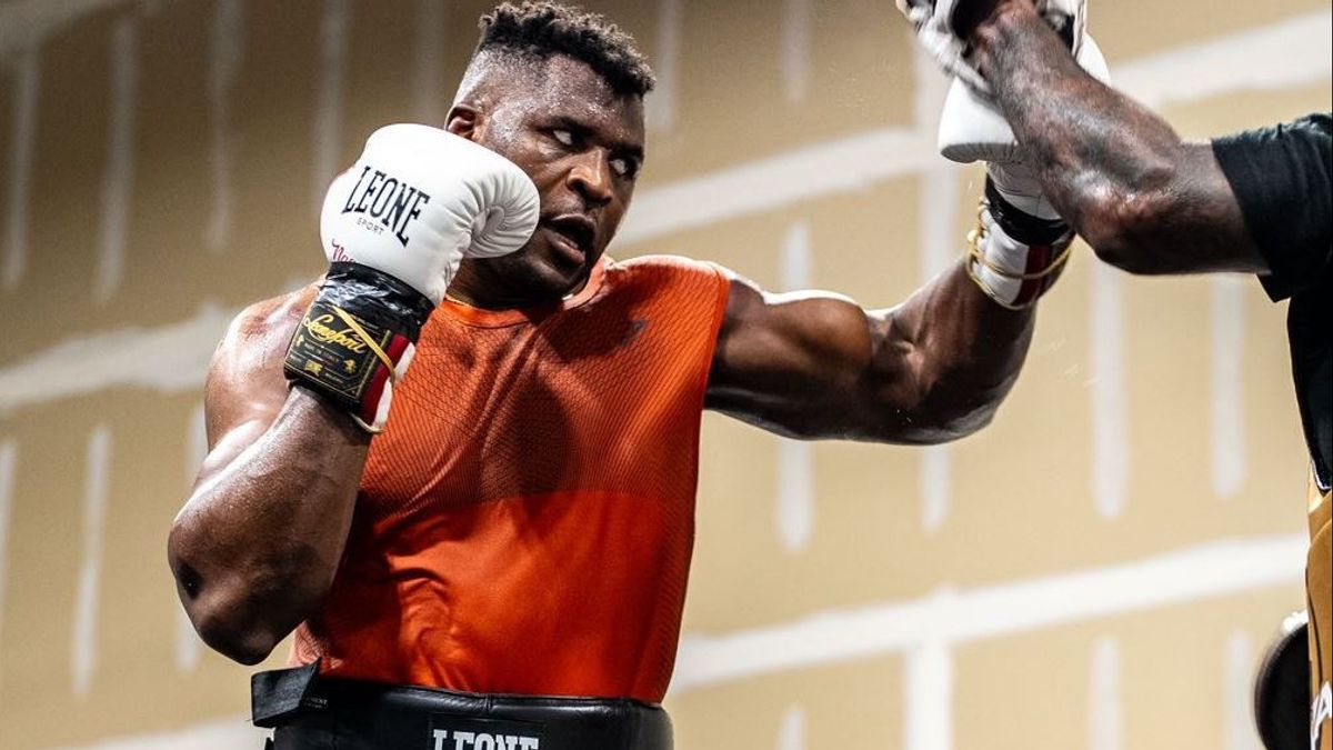Francis Ngannou Turns Out To Have Got Knowledge From Mike Tyson To Beat Fury