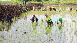 Sri Mulyani qualifie le secteur agricole de force économique au milieu d'un choc mondial