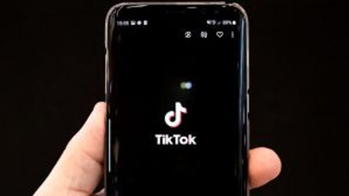 US Supreme Court Agrees To Listen To TikTok's Appeals