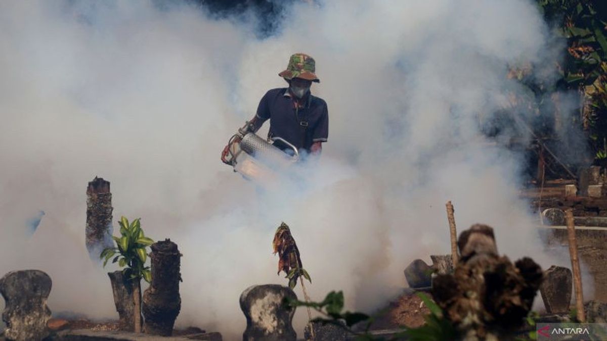 Cuaca Tak Menentu, Warga Lampung Selatan Diminta Waspada Terhadap Demam Berdarah Dengue