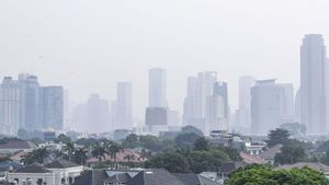 Waspada, Polusi Udara Bisa Jadi Pemicu Kanker