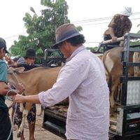 Wabah PMK, Kebutuhan Hewan Kurban di Mataram akan Diserap dari Peternak Lokal 