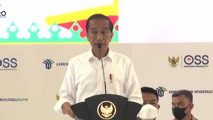 Minta Penerbitan NIB Hingga 100 Ribu per Hari Melalui OSS,  Jokowi: Kepala Daerah Harus Dorong UMKM Miliki Izin Usaha