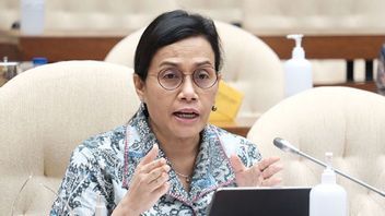 Pendapat Sri Mulyani Mengenai Indikator Negara Maju