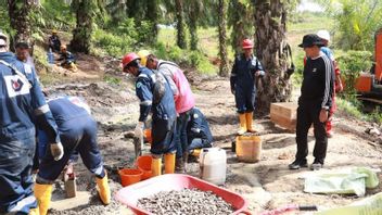 Polri et TNI ferment 382 puits de pétrole illégaux à Batanghari