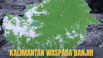 VOI Today: Kalimantan Banjir Rob, Waspada Banjir Seperti di Sumatra Karena Hutan Hampir Habis?