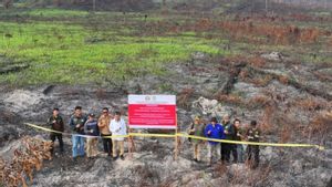 Kemenhut Turun Tangan: Konsesi PT FWL dan CMI di Kalbar Disegel Imbas Kebakaran Hutan