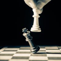 修补社会事务部，部长应该是专业人员吗？