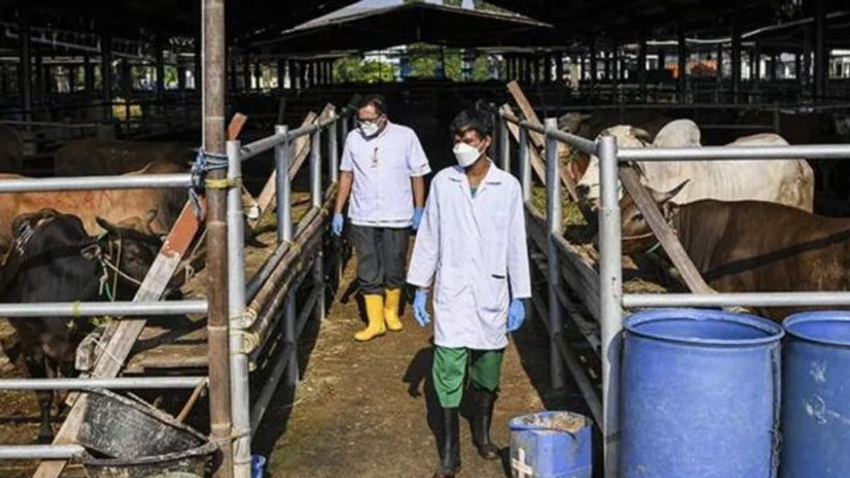 Ministry Of Health Reports 3 DIY Residents Died As A Result Of Antraks Infected With Livestock