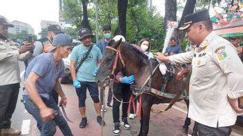 Operasional Delman di Monas Hanya Sabtu dan Minggu, Pemkot Jakpus Uji Sampel Feses Kuda untuk Jamin Kesehatan Publik