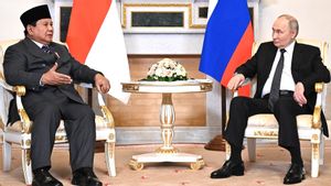 Poutine et le président Prabowo Saling Puji renforcer la coopération entre l’Indonésie et la Russie