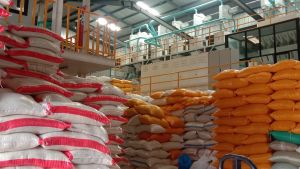 Stok Beras Bulog Mengendap Setahun, Ombudsman Minta Segera Disalurkan ke Pasar
